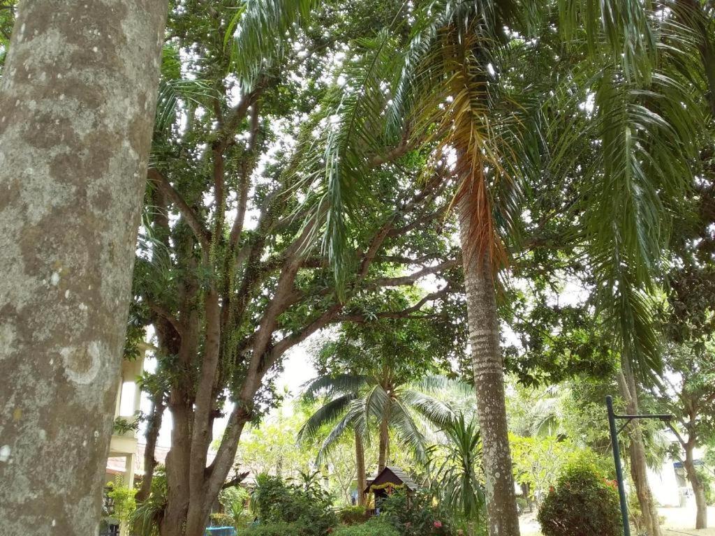 Jinta Hotel Nathon Beach Plage de Chaweng Extérieur photo